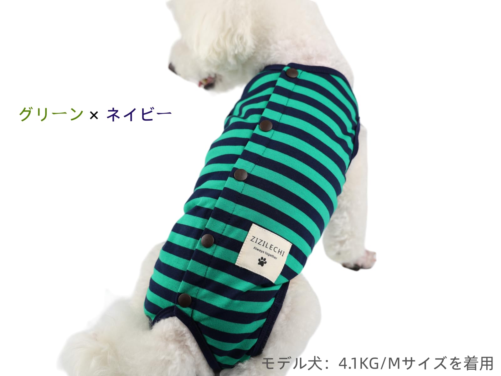Amazon | ジジ・ルシアン ZIZILECHI 術後服 犬術後服 避妊手術後 術後